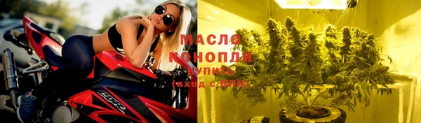 крисы Осинники
